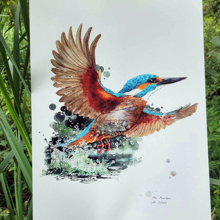 Isfugl håndmalet med akvarel kunst