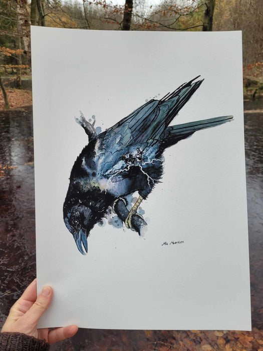 Munin Odins ravn akvarel kunst
