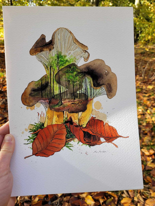 Tragtkantereller malet med akvarel, svampeplakat, efterårsindretning, naturenindenfor