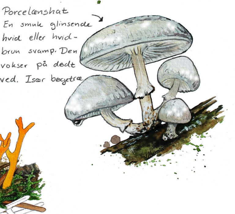 porcelænshat malet med akvarel