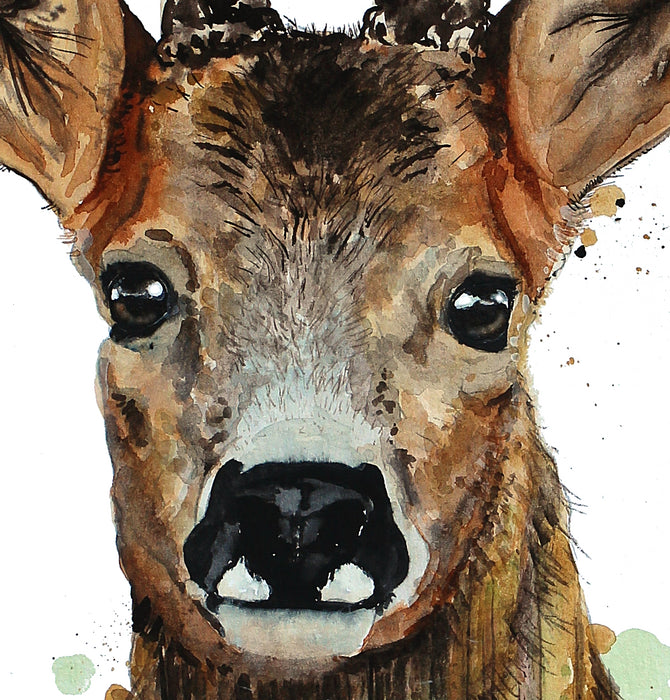 Råbuk malet med akvarel. Flot kunst til jagtstuen