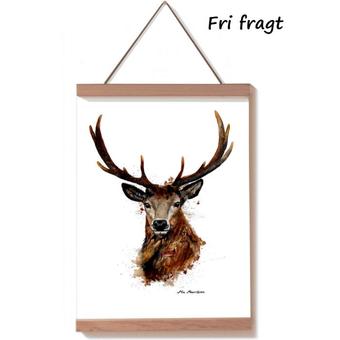 Billede af en kronhjort malet med akvarel. Fås som flot kunsttryk plakat. Kronhjorten giver en dejlig fornemmelse af at være tættere på naturen.