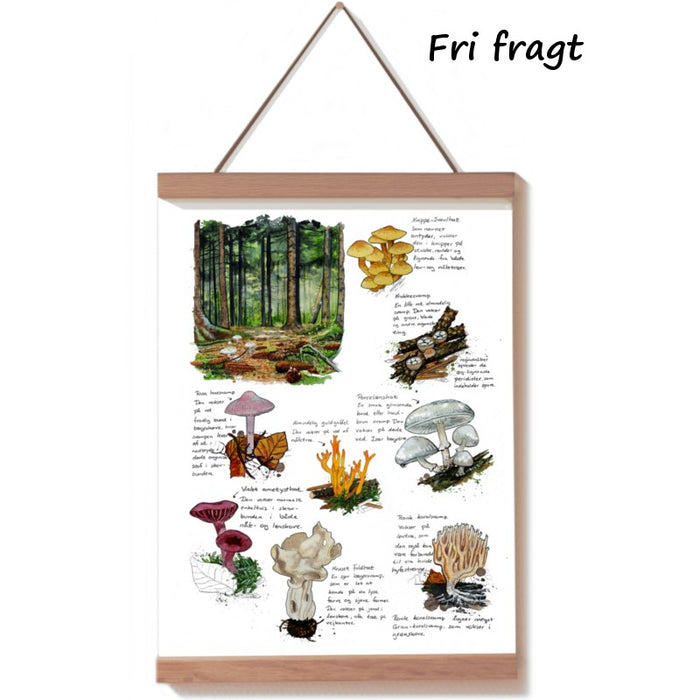 svampelplakat i akvarel med almindelige svampe