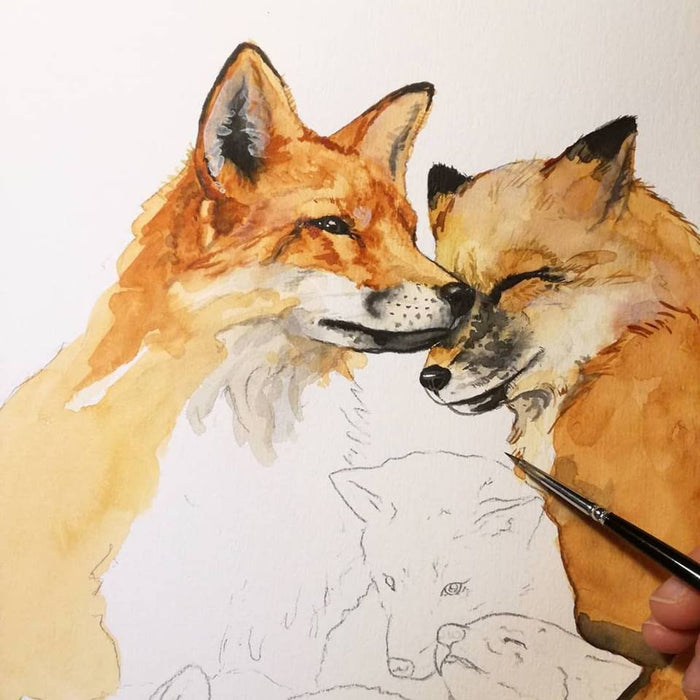 Akvarelmaleri af ræve