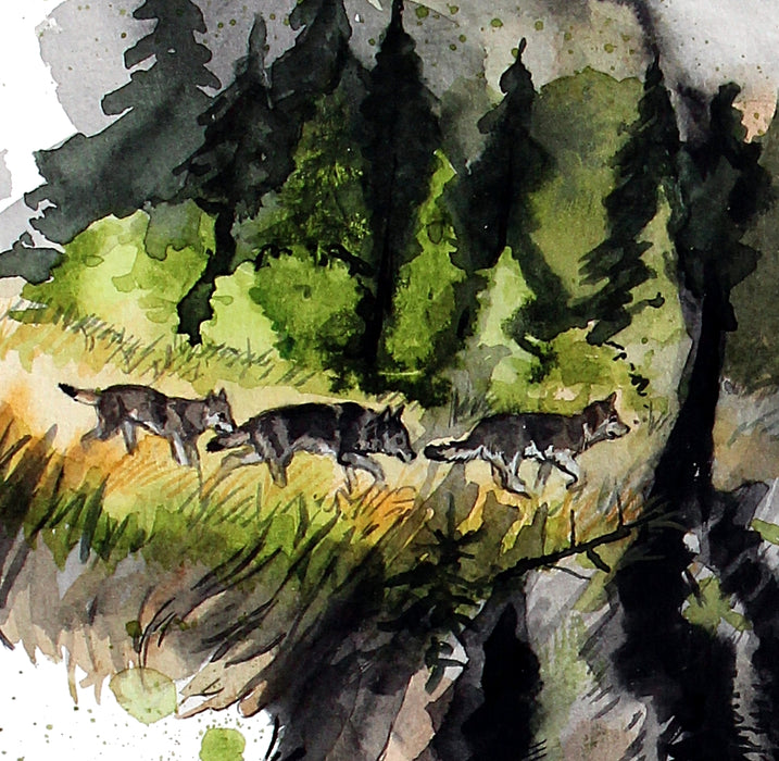 tre ulve er malet inden i akvarellem med ulvefamilien