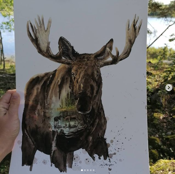 Akvarelmaleri af en elg