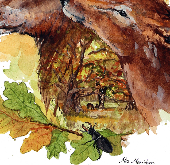 akvarel dyrehaven med kronhjorte