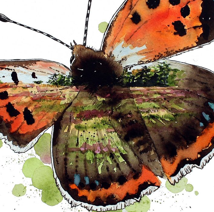 melby overdrev i lille ildfugl