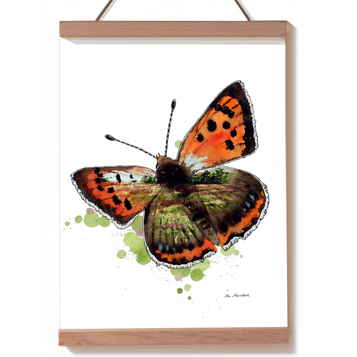 Lille ildfugl sommerfugl i akvarel