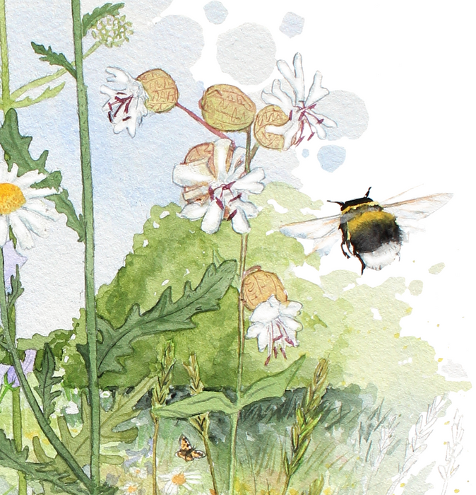 Blomsterplakat, kunsttryk med bblomster, billede med vilde danske blomster i akvarel