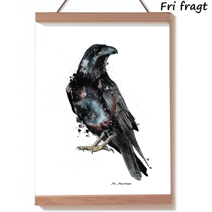 Ravnen Hugin, som er en af Odins to ravne. Malet med akvarel