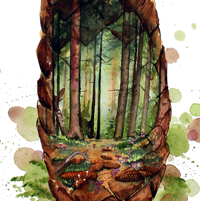 skov inden i en kogle