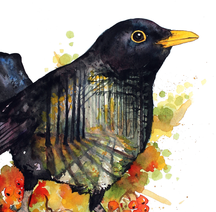 Solsort med skovmaleri