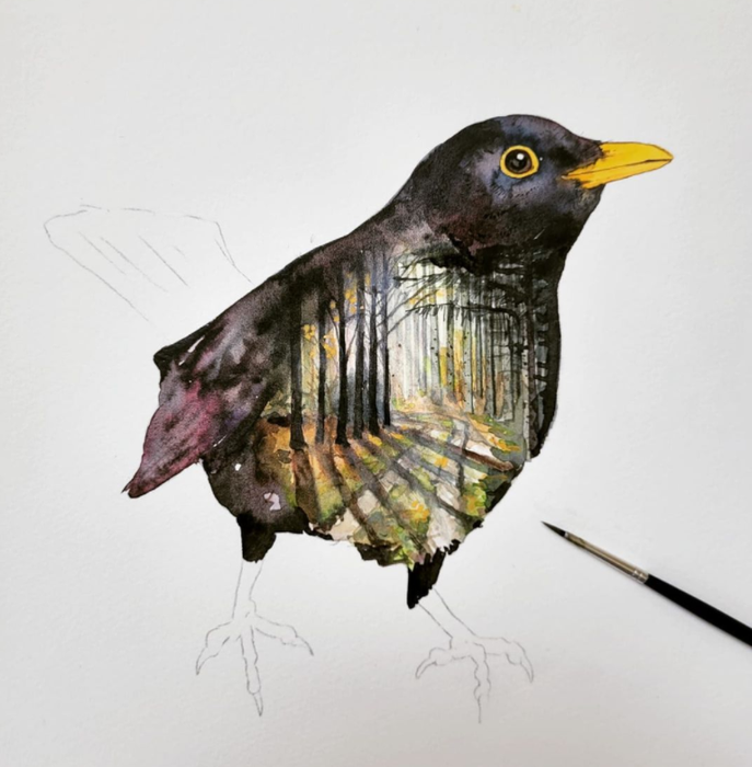 Solsort procesbillede