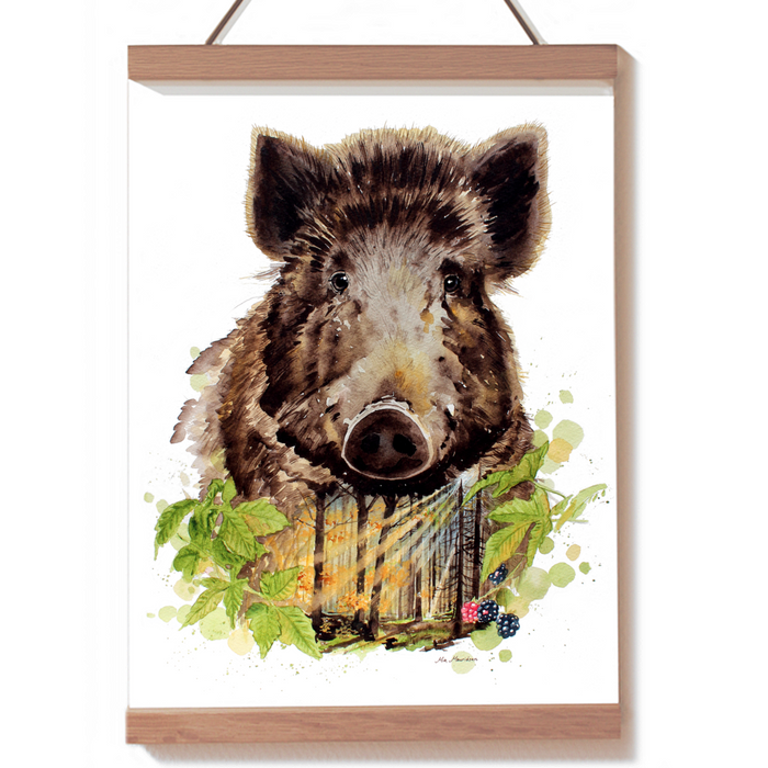 Vildsvin akvarel billede