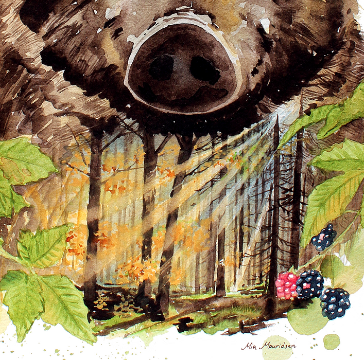 Vildsvin efterårsskov