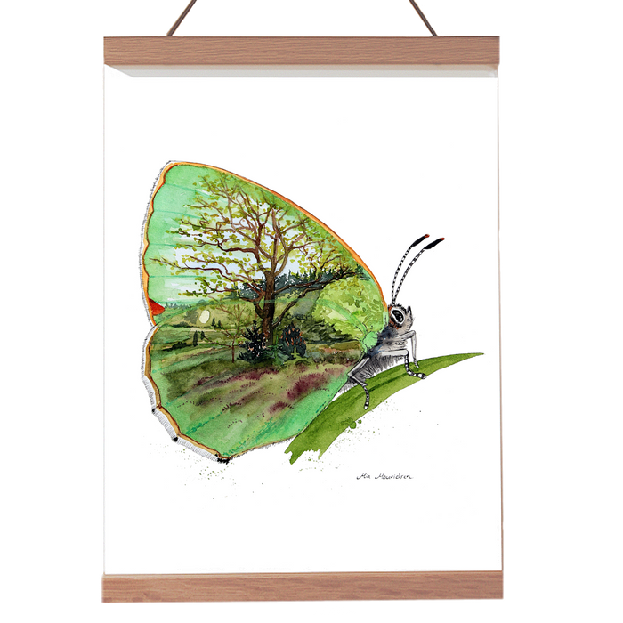 Grøn busksommerfugl. Biologisk illustration i akvarel