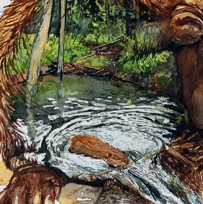 Bæver som bygger dæmning malet med ak