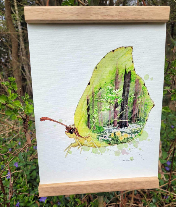 Citronsommerfugl akvarel