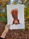 akvarelmaleri med et egern, nordisk kunst, efterårsskov