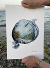Akvarel kunst illustration forstenet søpindsvin