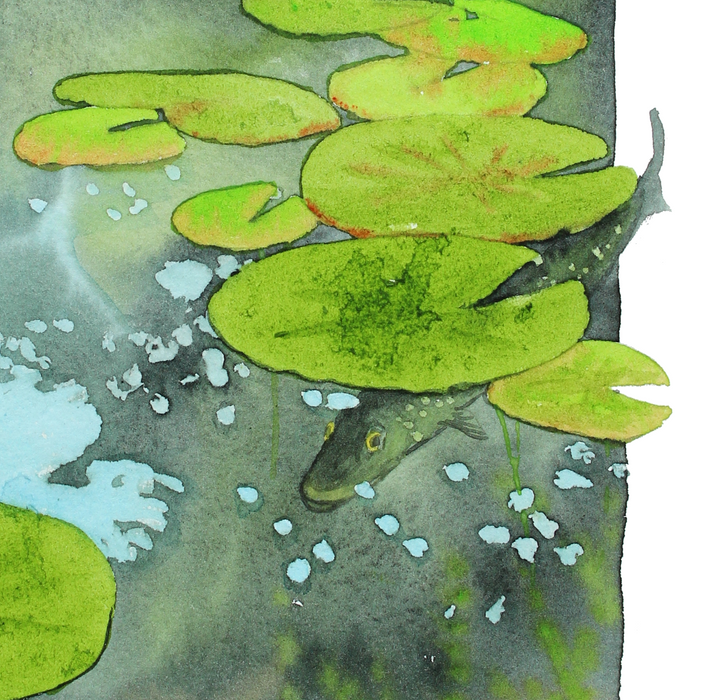 Gedde under vandet, Naturkunst