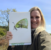 Biologisk illustrator i felten