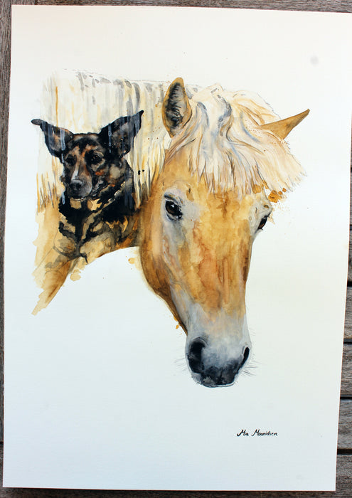 hest og hunde portræt