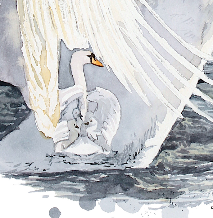 Knopsvane malet inden i en anden svane