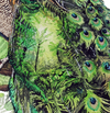 Påfugl i akvarel med motiv af en jungle 