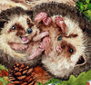 to pindsvineunger som leget sødt i akvarel