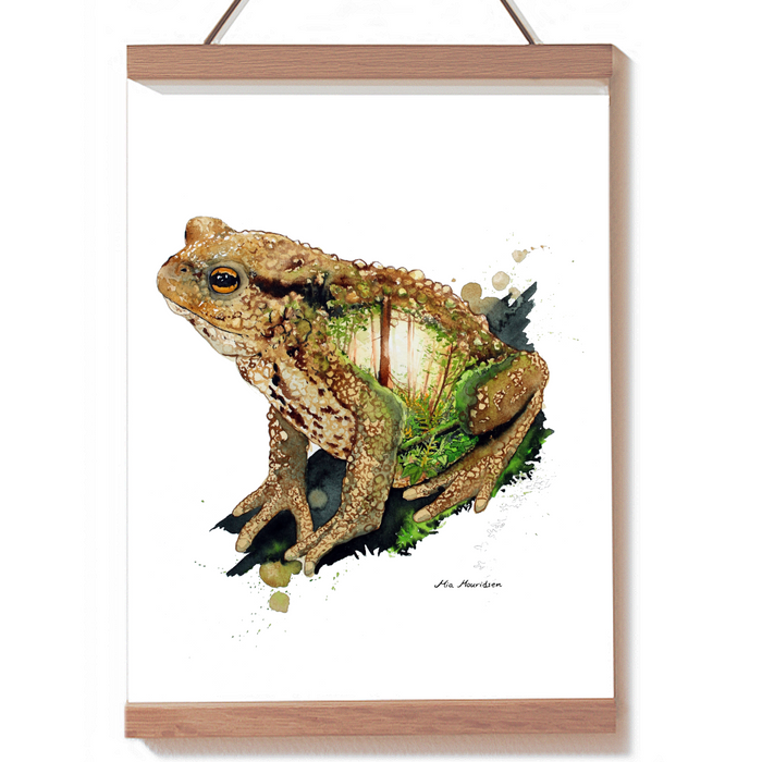 Skrubtudse akvarel illustration biologi maleri