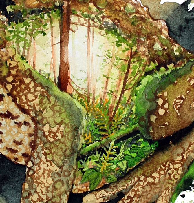 akvarel illustration af et skovandskab inden i en tudse