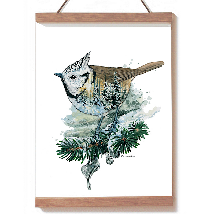 Topmejse akvarel kunst illustration billede