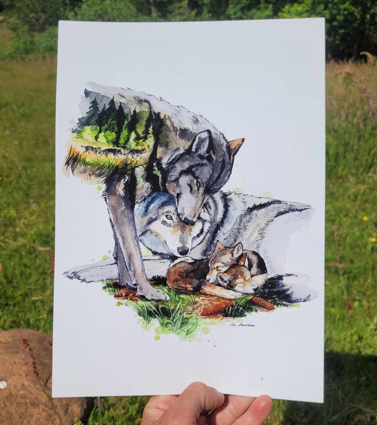 en ulvefamilie malet med akvarel