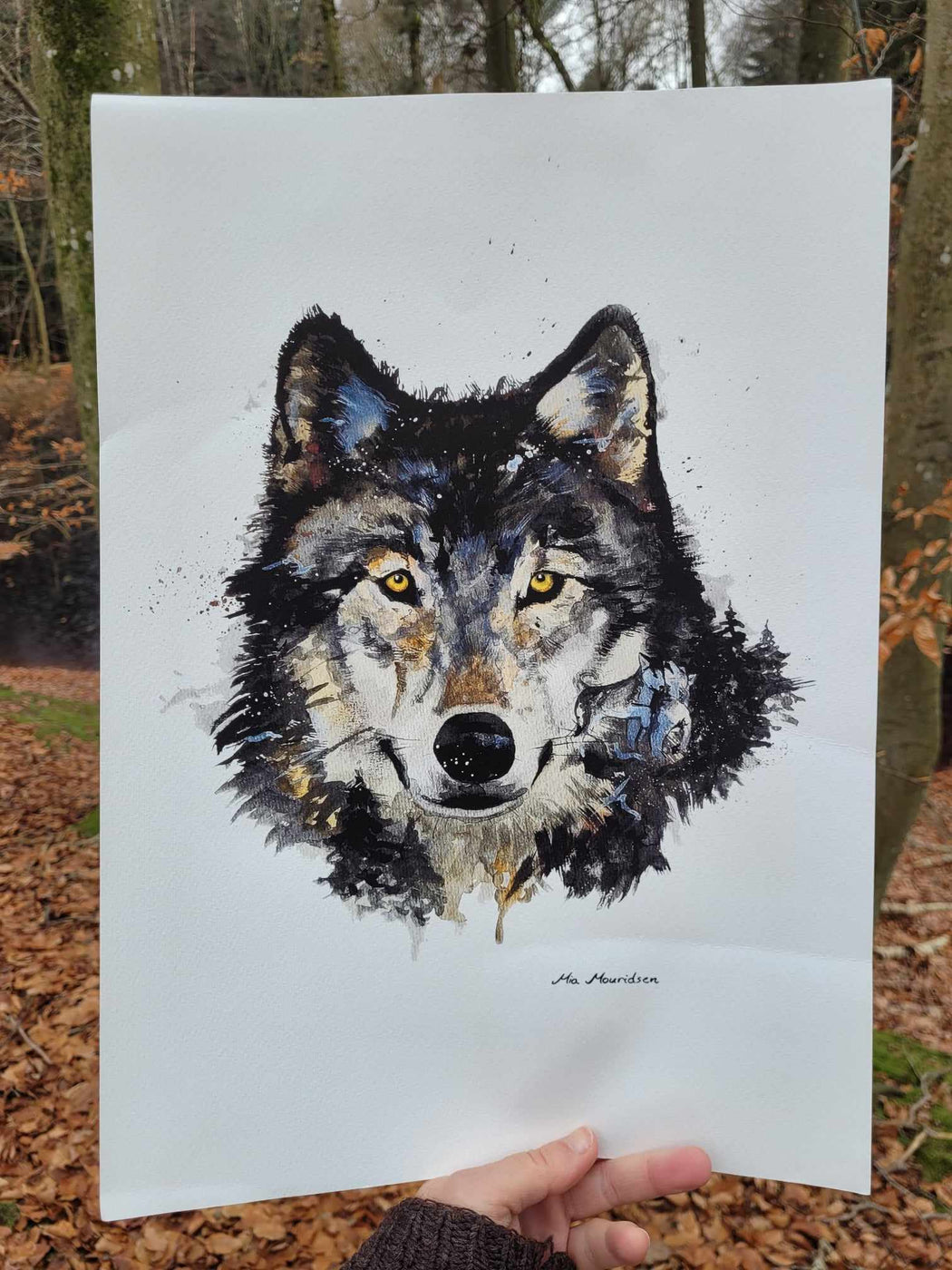 Ulv i akvarel kunst