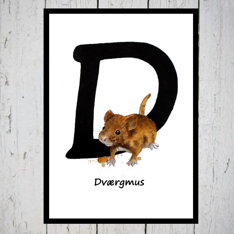 Dværgmus alfabetdyr D