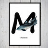 Marsvin alfabetdyr M