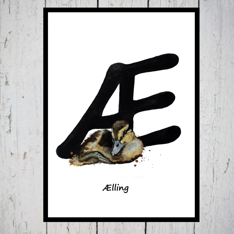 Ælling alfabetdyr Æ
