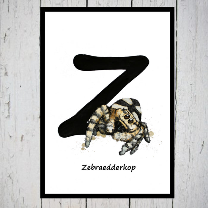 Zebraedderkop alfabetdyr Z