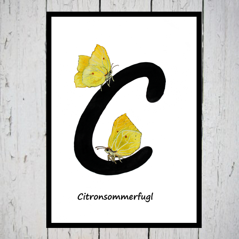 Citronsommerfugl alfabetdyr C
