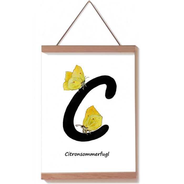 Citronsommerfugl bogstavdyr C