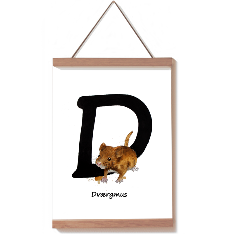 Dværgmus bogstavdyr D
