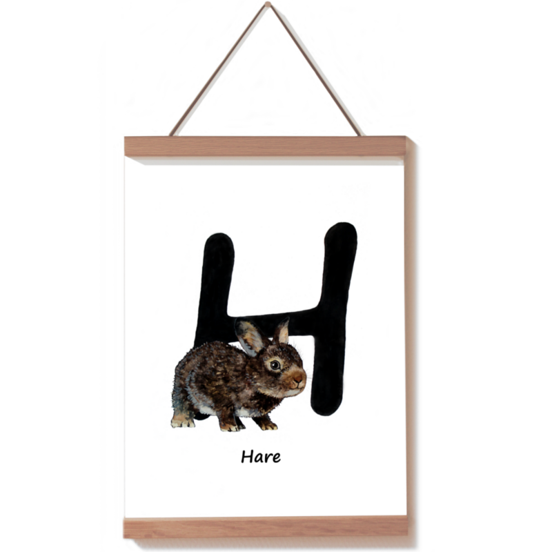 Harekilling bogstavdyr H