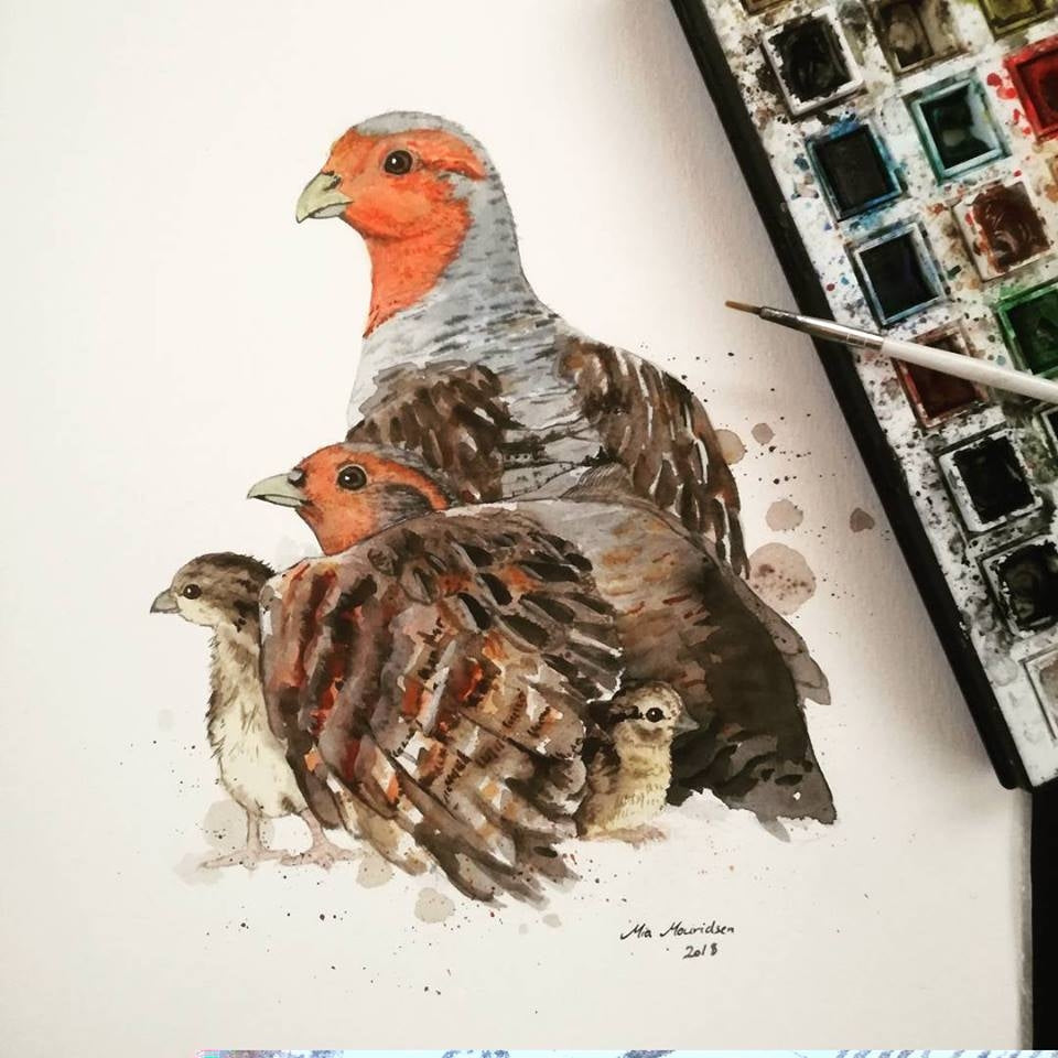 Akvarel kunstplakat af en lille familie med agerhøns til vægen
