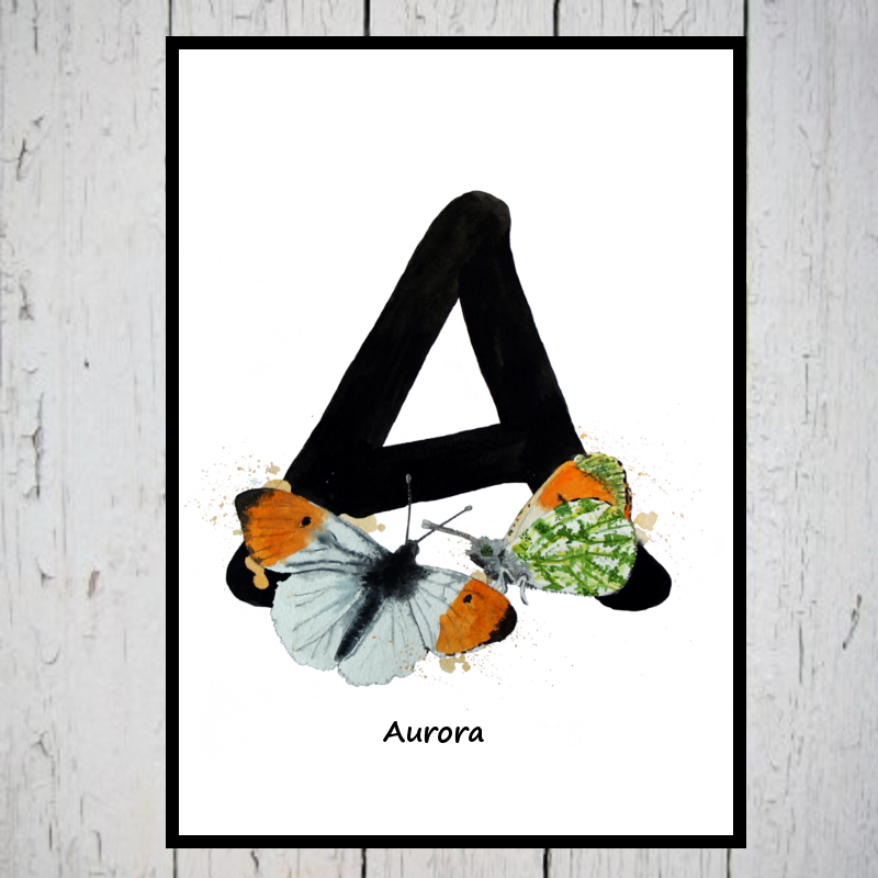 Aurora alfabetdyr med A