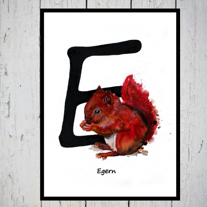 Egern alfabetdyr E