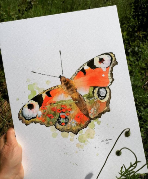 Akvarelmaleri af en dagpåfugleøje sommerfugl