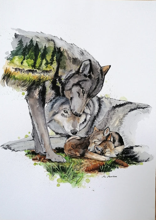 Originalt akvarelmaleri af en ulvefamilie