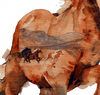 Skjult maleri med islandske heste
